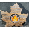 Image 1 : 2016 $20 Colourful Maple Leaf Fine Silver Coin 31.5 Grams