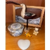 Image 3 : CYPRAECASSIS RUFA Sea Shell w/ Shadow Box Sand Art Figurines & More