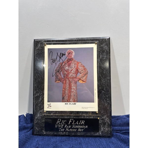 Ric Flair "The Nature Boy" WWE Raw Superstar