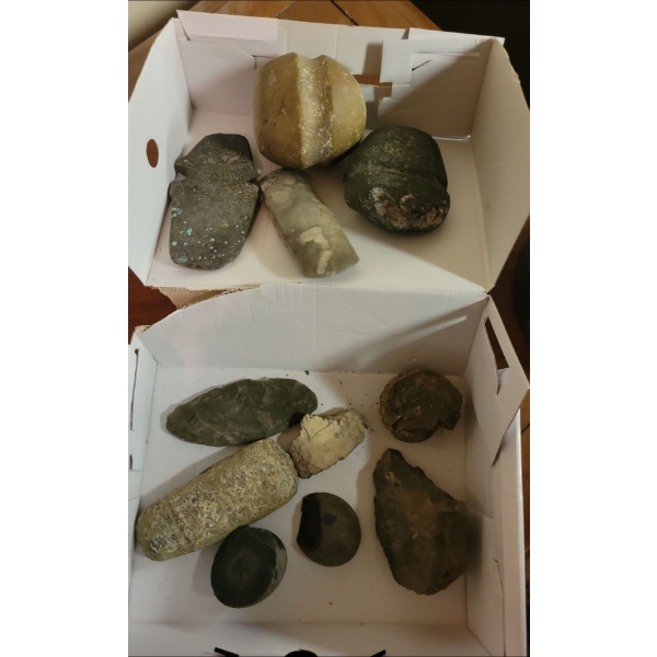 Rare Fossil Finds