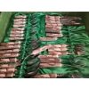 Image 5 : Stag Horn Handled Cutlery Set With Carving Tools, Cutting Board, and Turkey Platter