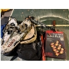 Image 1 : YUKO snow, shoes, backpacks, camp, cooking rack, and a pair of mountain walking sticks