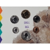 Image 3 : 1996 RCM Bundle of Joy Baby's First Coin Collection - Uncirculated Set