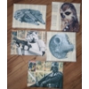 Image 2 : Star Wars Reproduction Art Includes: R2-D2: 12 X 16 and Other Characters