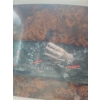 Image 4 : 1999 Ford Motorhome, Fiber Repair Needed