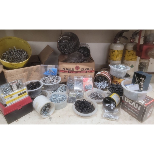 Nuts & Bolts Galore plus other Garage/Shop Items