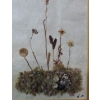 Image 3 : Untitled Dried and Dyed Wild Flowers, Artist: Mary Koonookoochook, Framed Under Glass 12 X 15 