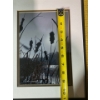 Image 8 : Striking Black and White Framed Photograph Print of Cattails