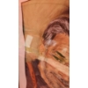 Image 2 : "Red Suspenders" Pastel by Elizabeth Schapansky (Some Damage to Matting/ Curling) 