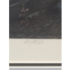 Image 5 : Numb. Print 21/950 "Shrouded Forest- Bald Eagle", Artist Daniel Smith, 32 X 43.5 Framed Under Glass 