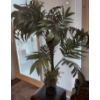 Image 3 : Beautiful Home Decor Collection