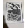 Image 2 :  Walter Bohl titled "Dropping In."  Print (7.75" x 5.75" Before Frame)