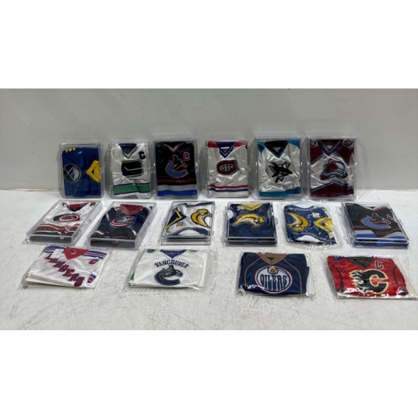Collection of Mini Hockey Jersey Collectables