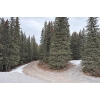 Image 35 : Dream Location In Hinton Alberta 2554 sqf 2.99 Acers Million $ Mountain Views