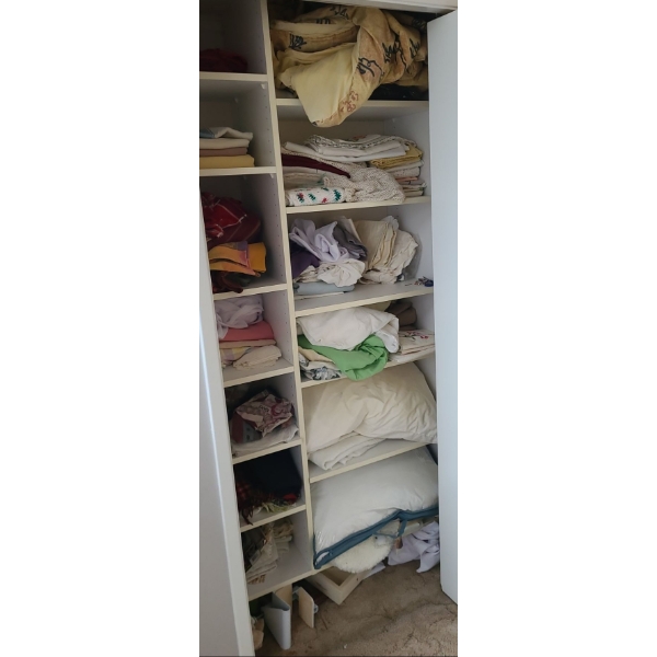 Contents of Linen Closet 