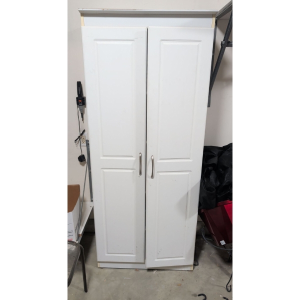 Pantry Cabinet 7ft Tall w/ Contents & Electric Driver - Garden Chemicals Butane Bungy Cords & more