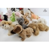 Image 5 : Ty~ Collection Of Various Vintage Plush Toys, Specifically Many Beanie Babies-Style.