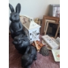 Image 2 : Decor: Tallest Rabbit 16 h, Dolphin 10 h, Jays 13 X 15, Candlesticks 19 h and More!