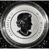 Image 2 : 2013 $20 for $20 Iceberg and Whale - 99.9% Fine Silver Coin #1