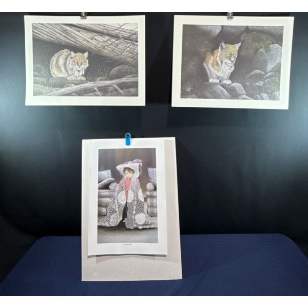 Alex Halliburton Feline Sanctuary 15Tx22.5W, Woodland Watch 16Tx21W, Gran'Ma's Shawl 20.5Tx13.5W