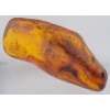 Image 2 : Polish Amber (35.8 ct, 52×21×12 mm)