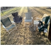 Image 1 : Five lawn chairs with three plant stands. 

