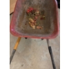 Image 3 : Red Wheelbarrow - 55L, 21T 