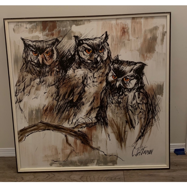 Lovely Print of Owl On Canvas, C. Petterson - 37x37 