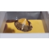 Image 3 : 13.7 Carat Citrine- Authentic with Certificate ( Estimated Value $600)
