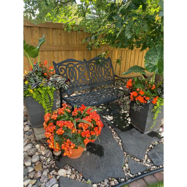 Metal Garden Bench In Summer - Currently Under Snow