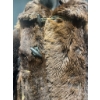 Image 2 : Fur Coat by Gordon & Fergusson St. Paul Bear Hide
