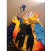Image 1 : Disney "Kevin" Bird Costume, Adult Size 3X