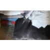 Image 5 : Contents of Linen Closet- Towels and Bedding