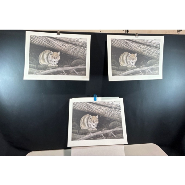 Alex Halliburton 3 Copies of Feline Sanctuary 15Tx22.5W