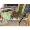 Captivating Faux Floral Winter Bouquet w/ Assorted Winter Greens 