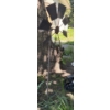Image 10 : Yard Decor Collection 