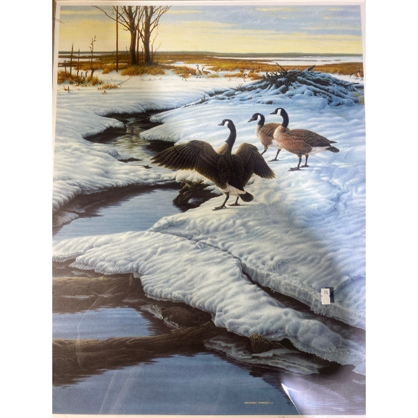 "Renewal" Print by Michael Dumas (26.5" x 18.75" Inches Before Frame)