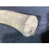 Image 3 : Power Horn