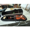 Image 1 : Violin in case