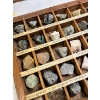 Image 4 : Vintage Educational Mineral Specimen Collection Housed In A Compartment Tray For Study And Display
