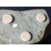 Image 7 : Soapstone Carving of Narwal, Artist: Unknown, 6.5 W, 3.5 D, 8.5 T 