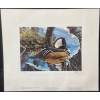Image 2 : Ken Ferris "Early Spring: Hooded Merganser" Signed Wildlife Habitat Canada Print