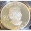 Image 3 : 2006 Canadian 50-Cent Golden Daisy 92.5% Silver 9.3 Grams