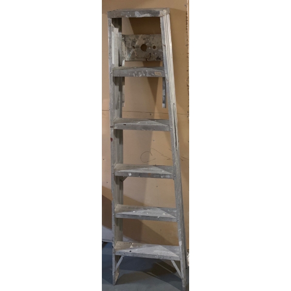 6 Step Ladder 