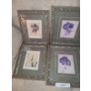 Image 2 : 7 Floral Framed Prints 10 w 12 h, 12 w 13 h