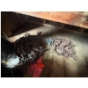 Image 5 : several pins for hitch’s/ hitch’s come along chains ropes