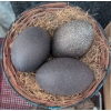 Image 3 : Ostrich Eggs and Decorative Natural Objects Assortment