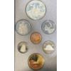 Image 1 : 1989 Silver & Aureate Dollar Proof Set