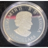 Image 3 : 2015 $20 Wood Buffalo & Sichuan Giant Panda Silver Coin 31.39 Grams