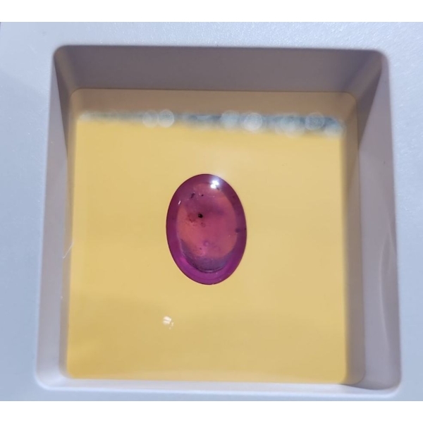 7.12 Carat Ruby- Authentic with Certificate ( Estimated Value $1100)